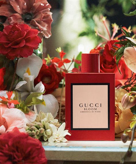 gucci bloom collection|Gucci Bloom fragrances.